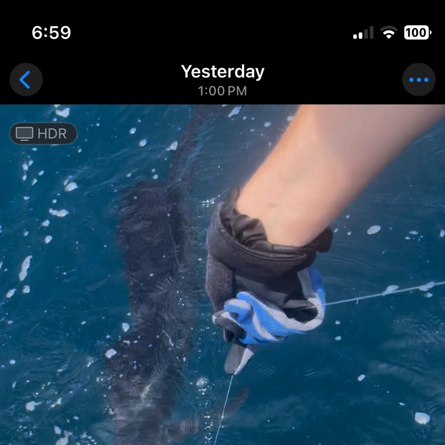 recently logged catches