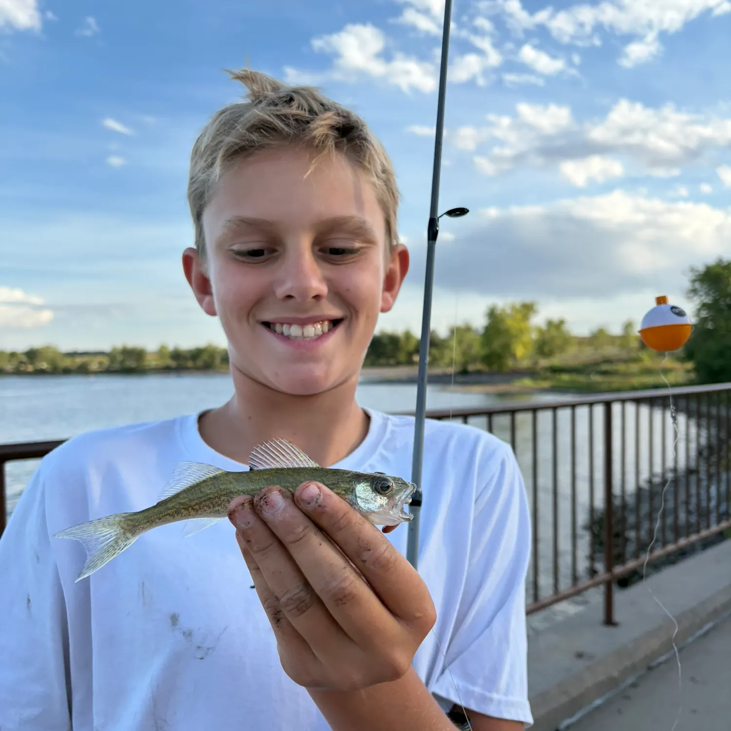 Walleye caught on Fishbrain