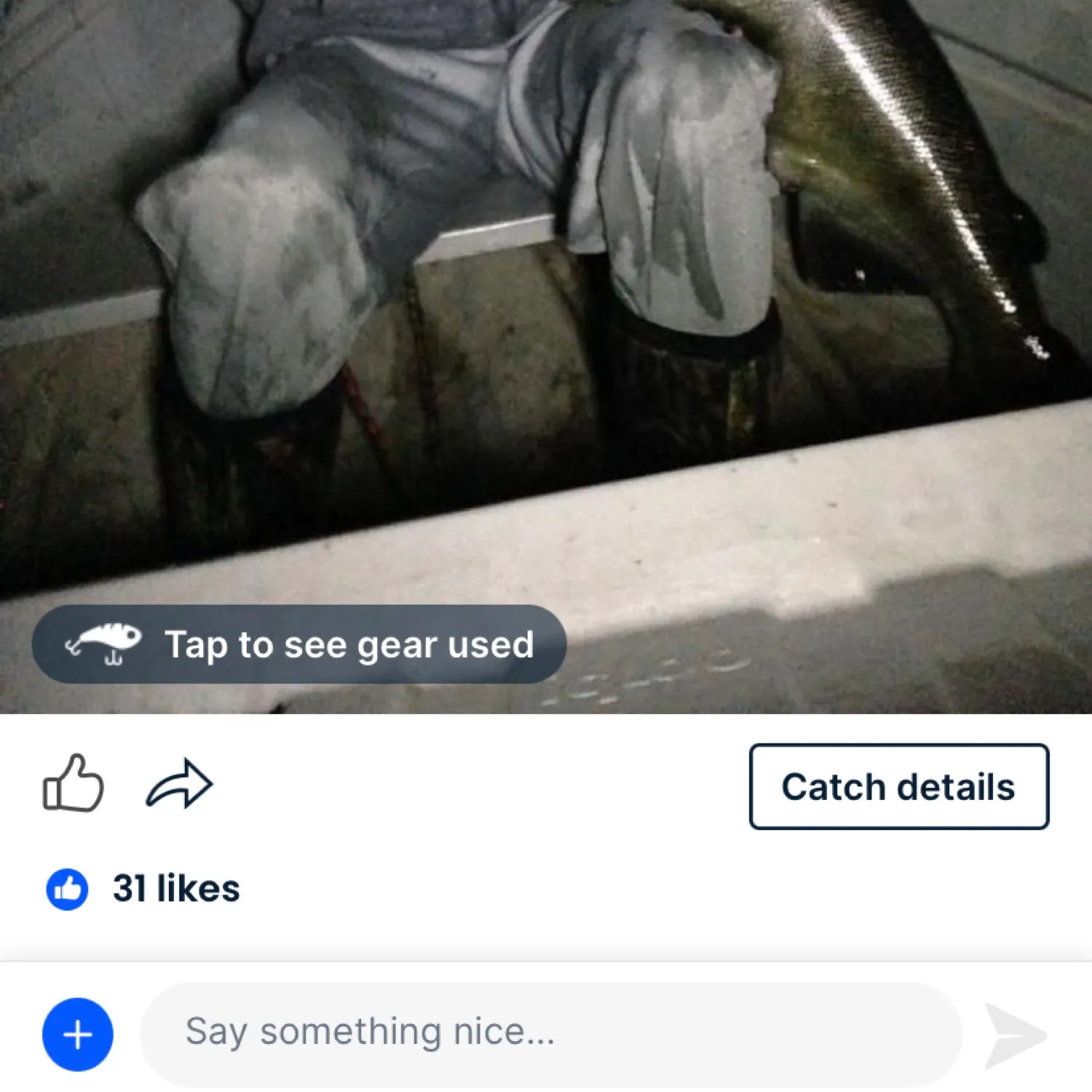 recently logged catches