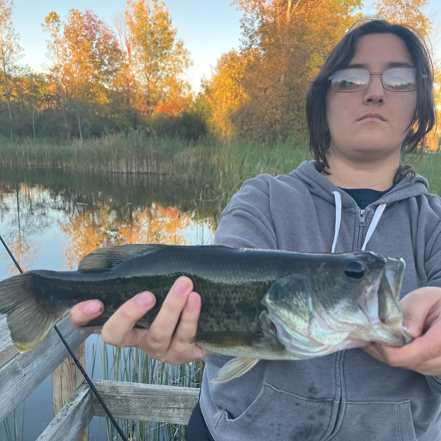 Largemouth bass caught on Fishbrain