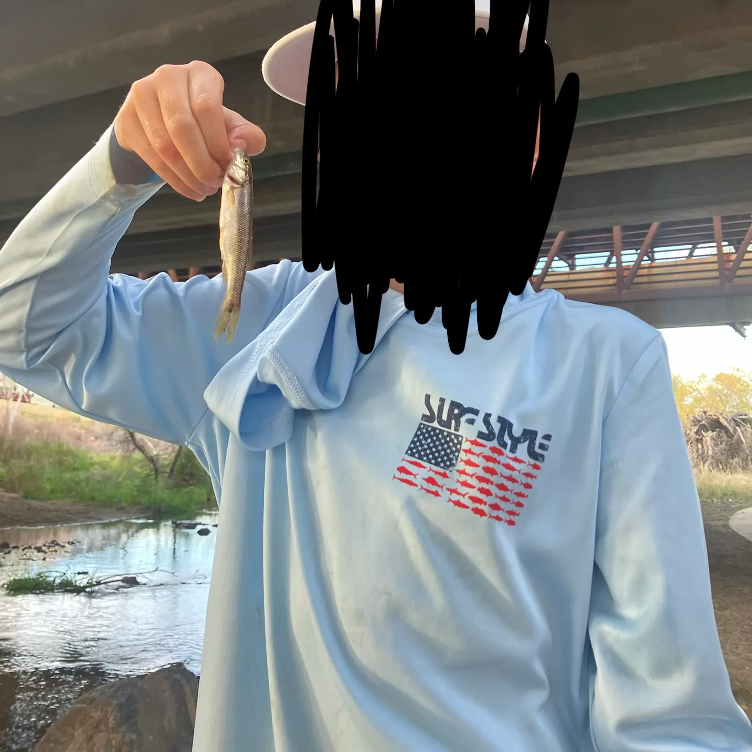Creek chub caught on Fishbrain