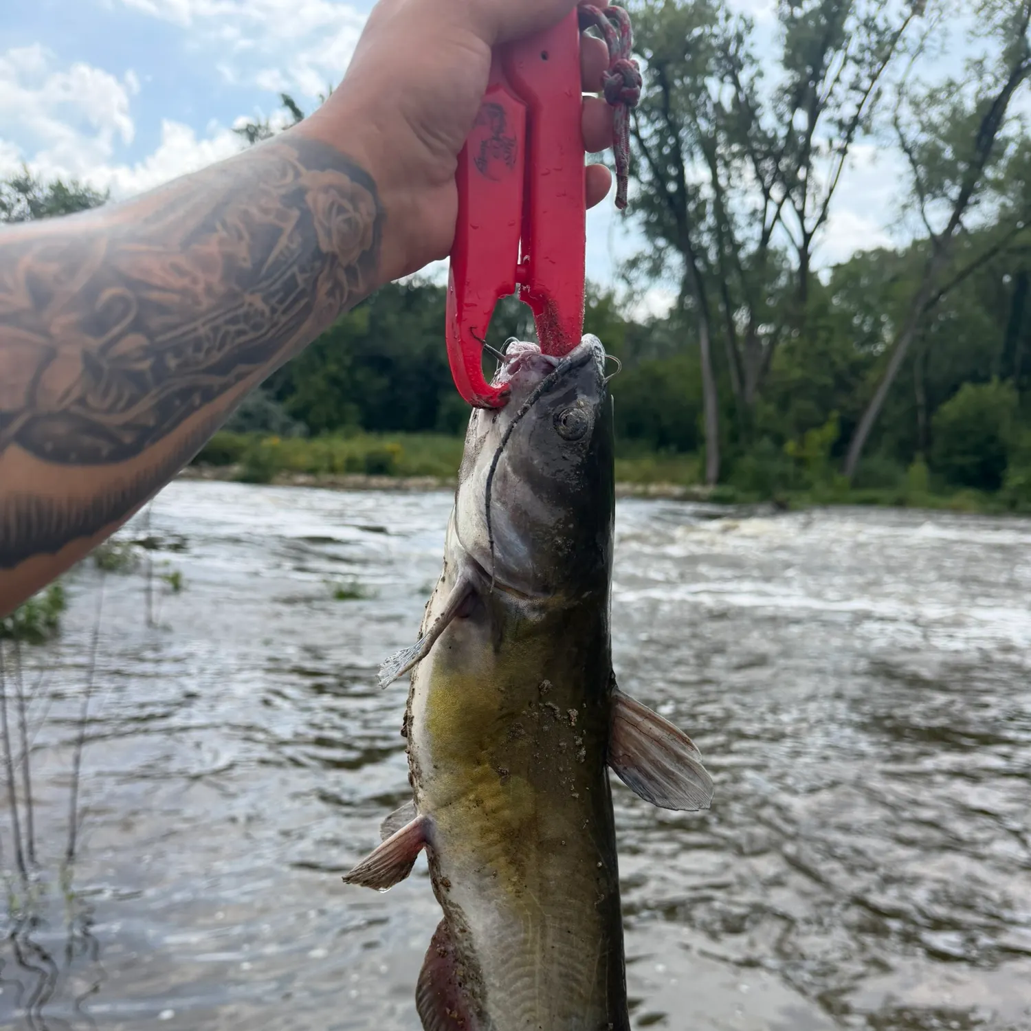 catch