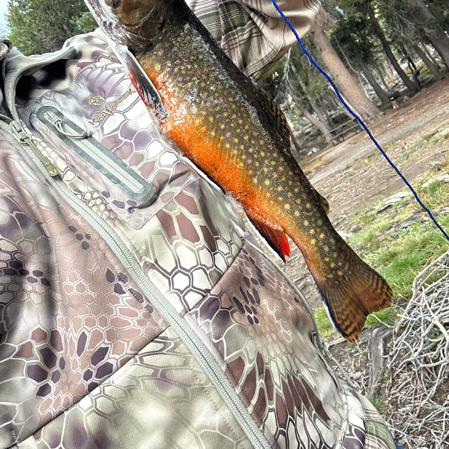 Brook trout caught on Fishbrain