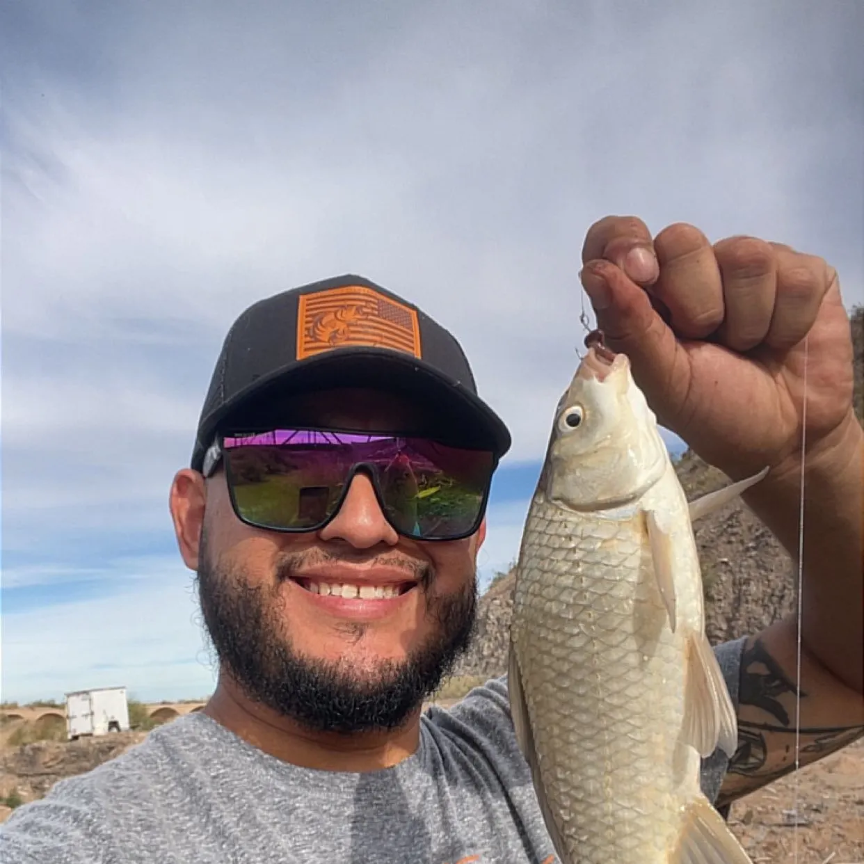 The most recent Gray redhorse catches on Fishbrain