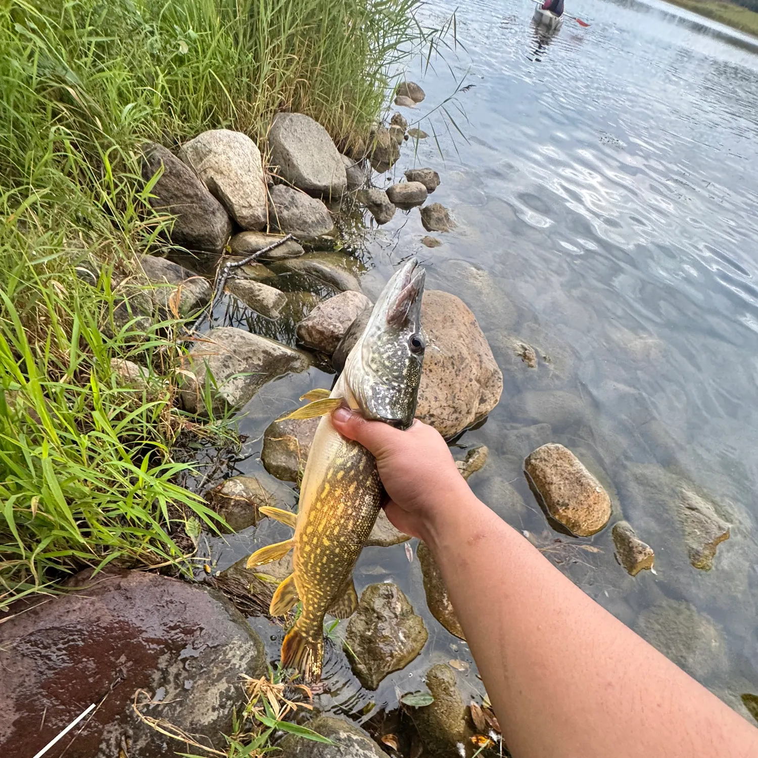 catch