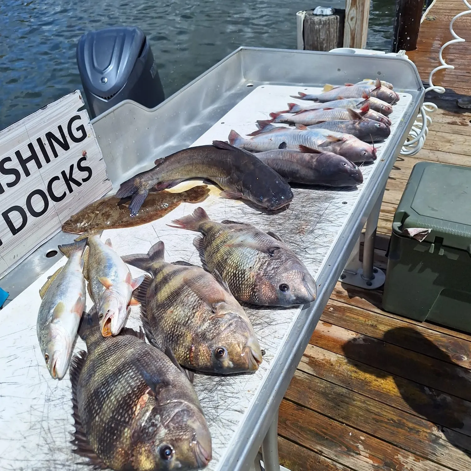 The most recent Southern flounder catches on Fishbrain