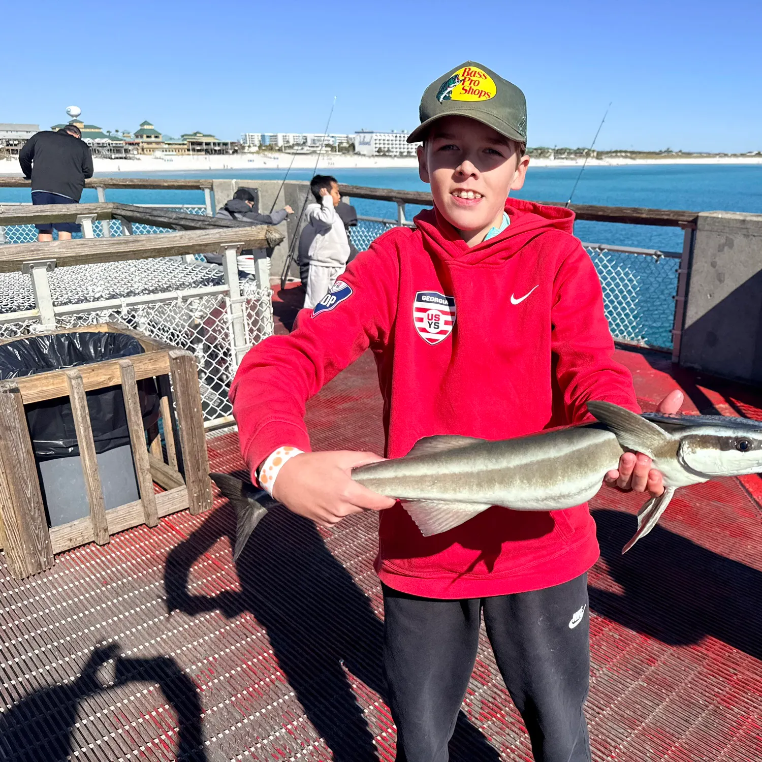 The most recent Common remora catches on Fishbrain