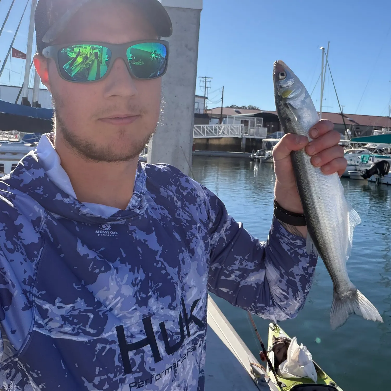 The most recent Surf smelt catches on Fishbrain