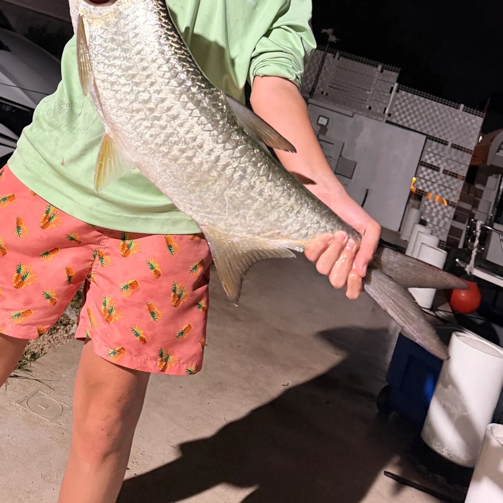 The most recent Tarpon catches on Fishbrain