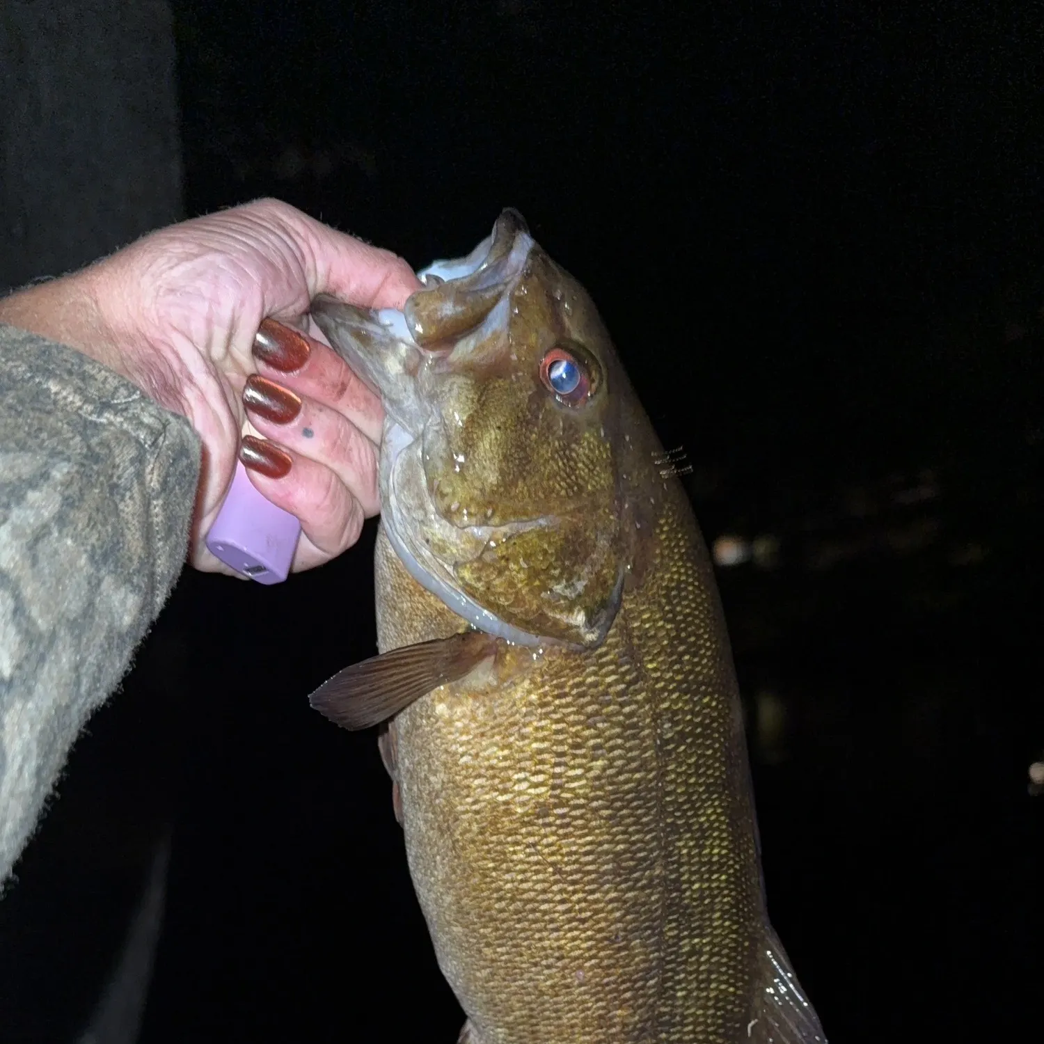 Smallmouth bass caught on Fishbrain
