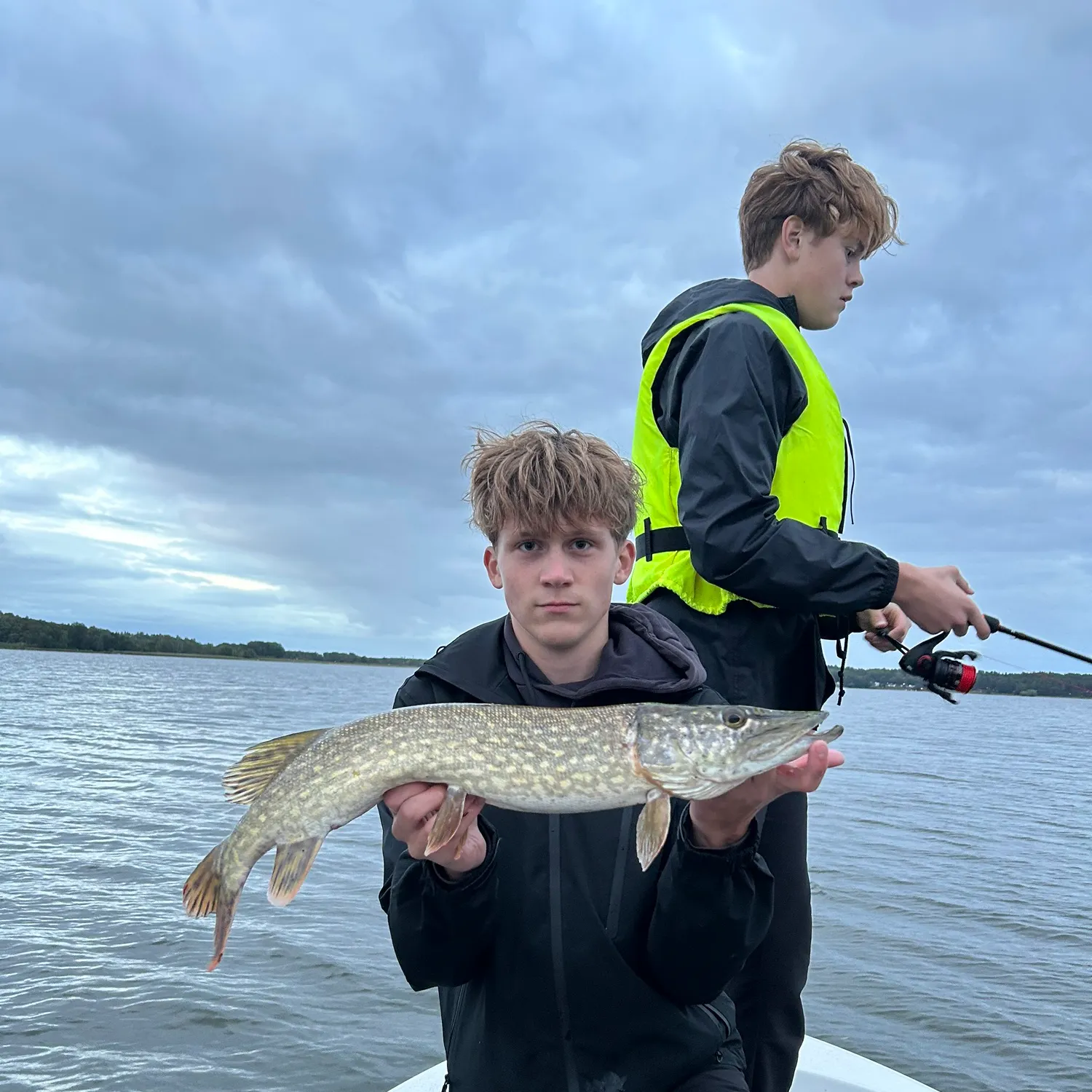 Northern pike caught on Fishbrain