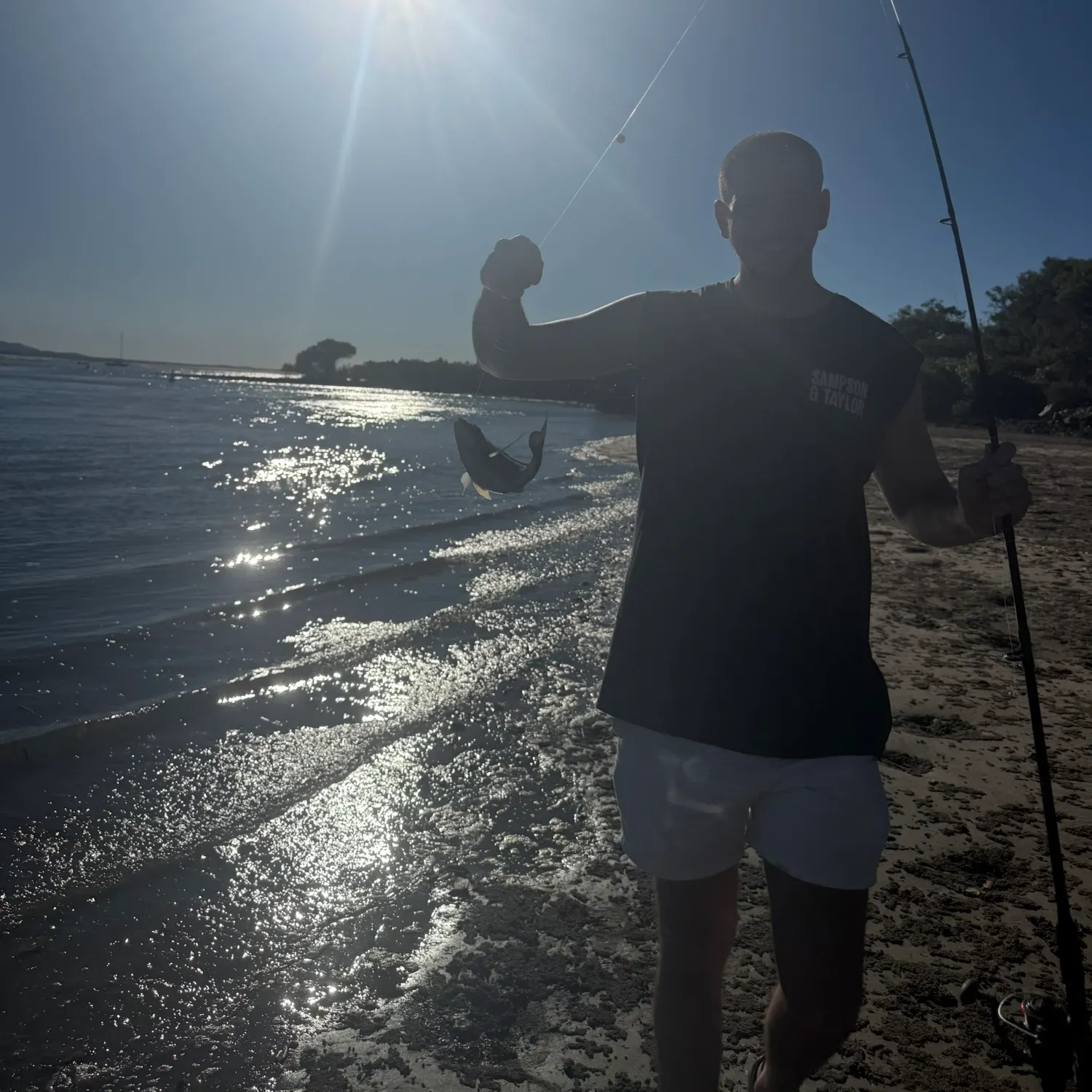 The most recent Surf bream catches on Fishbrain