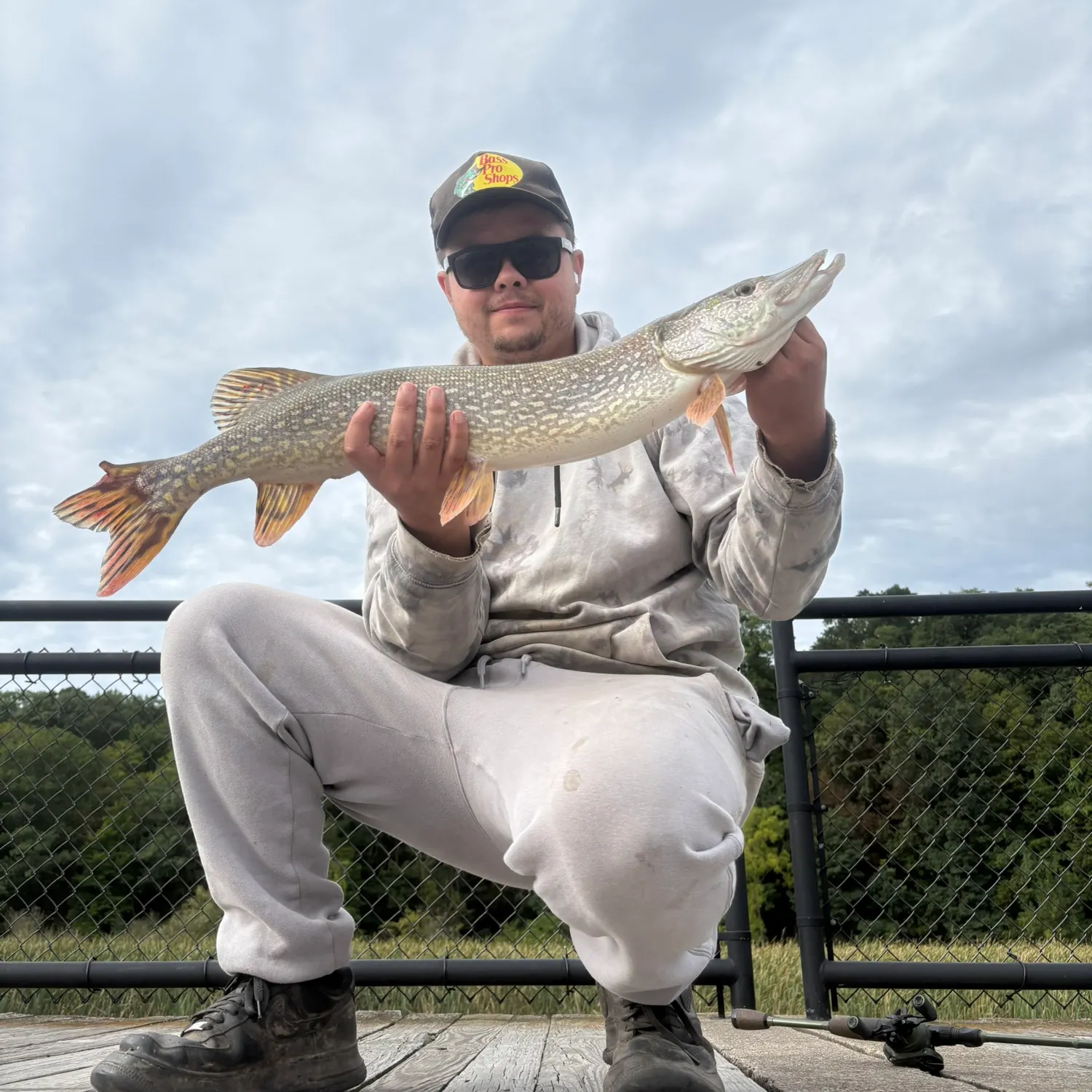 Northern pike caught on Fishbrain