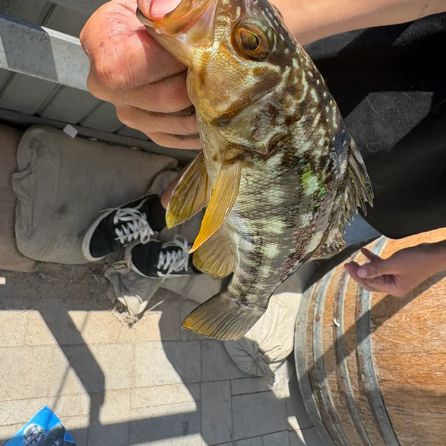 catch