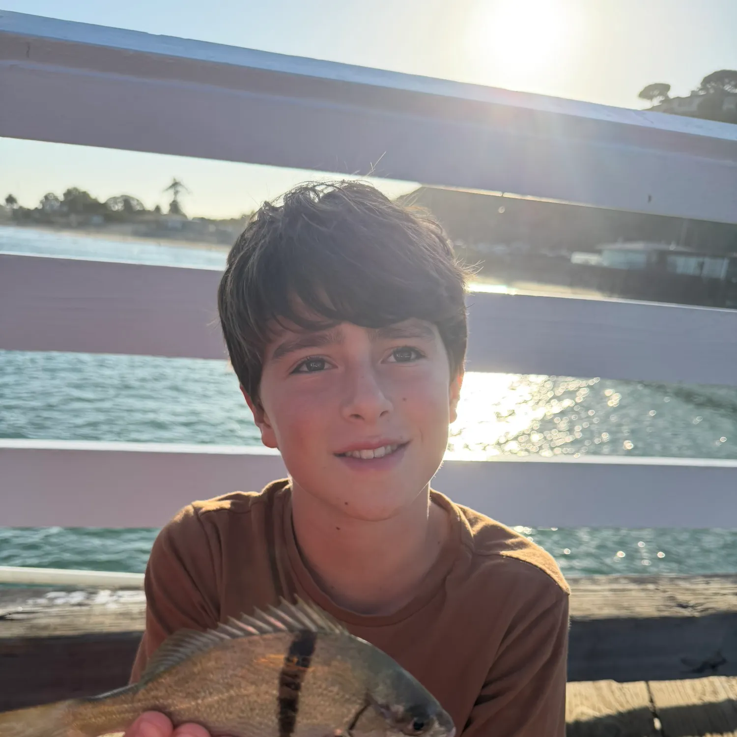 The most recent Sargo catches on Fishbrain