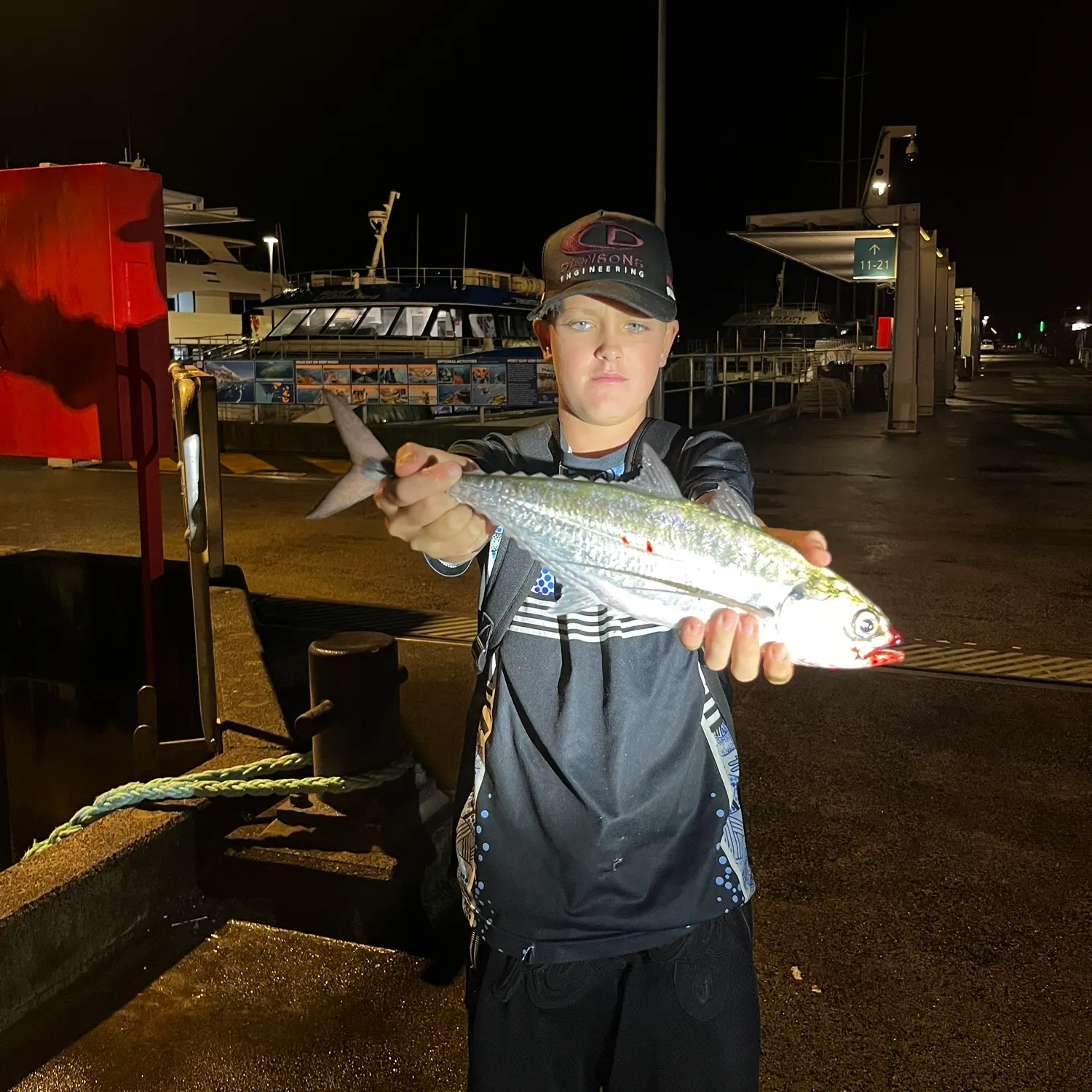 The most recent Torpedo scad catches on Fishbrain
