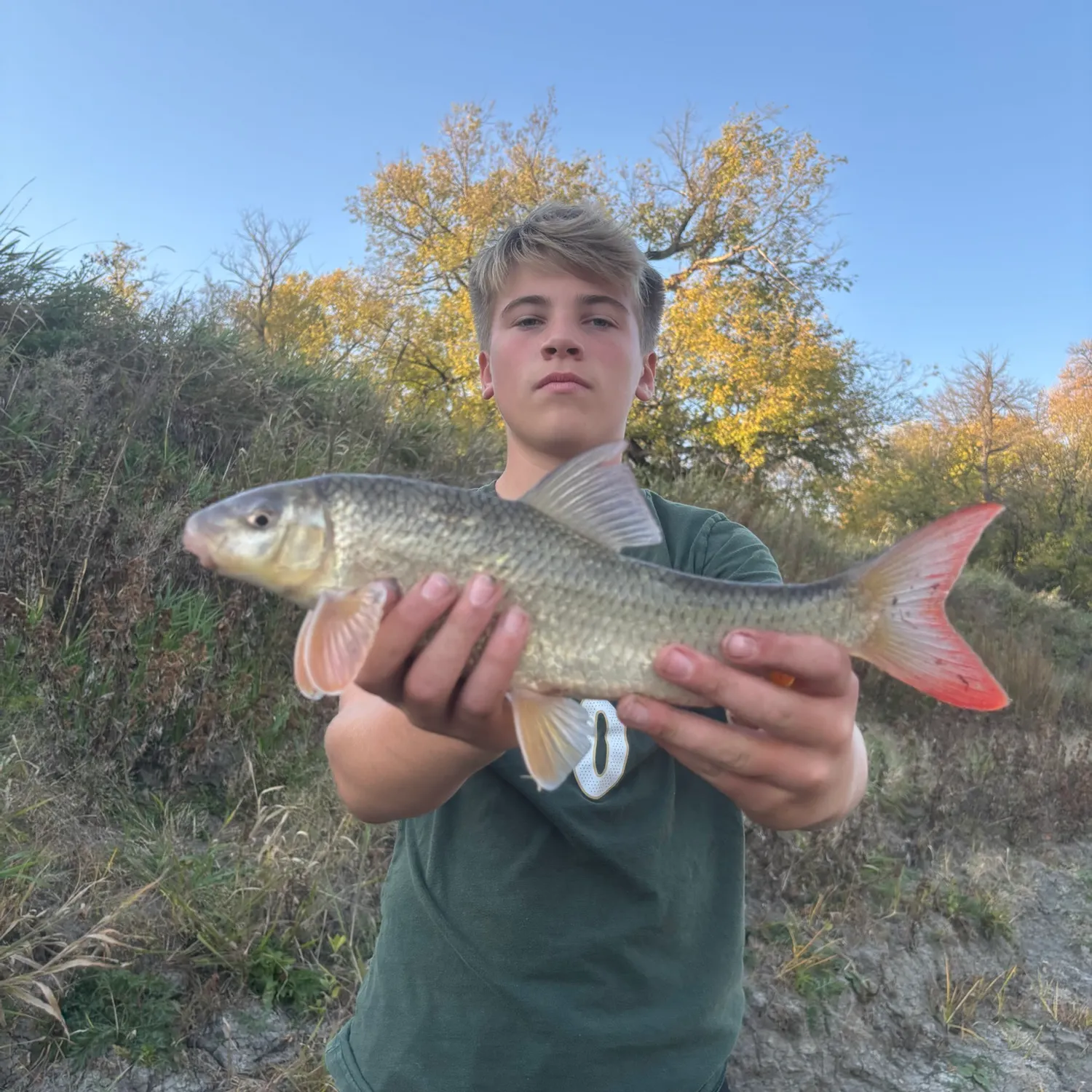 Shorthead redhorse caught on Fishbrain