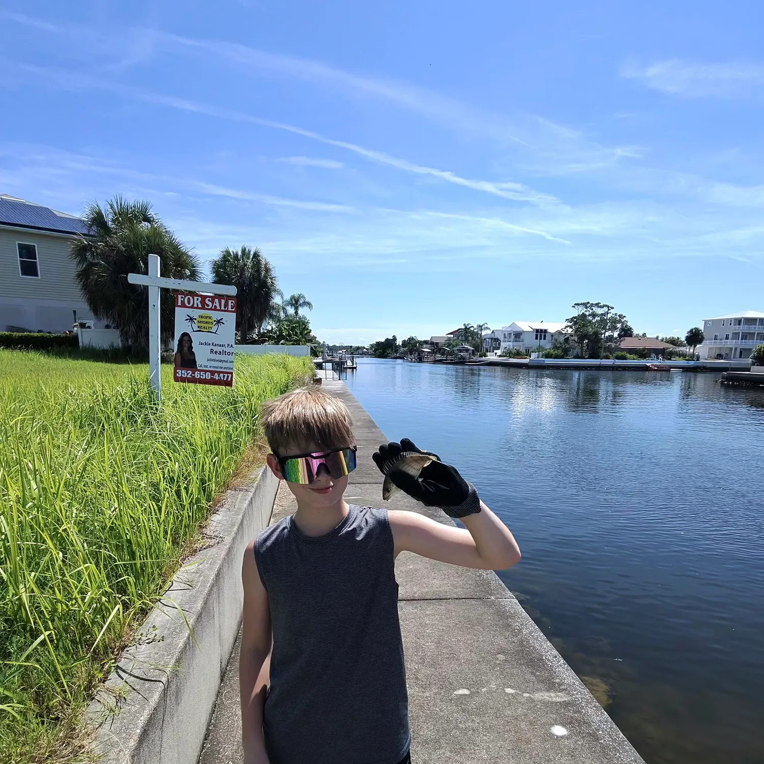 Pinfish caught on Fishbrain