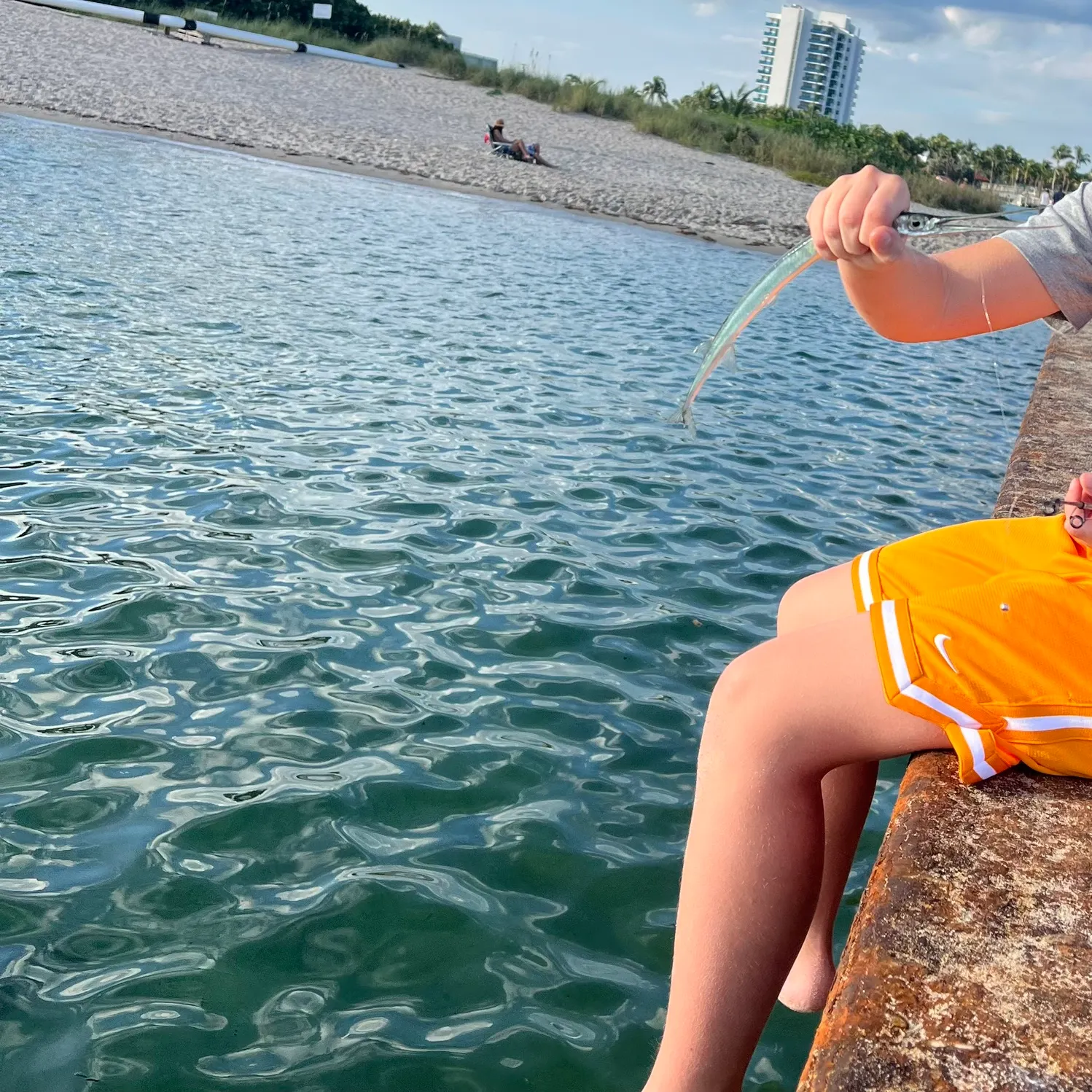 The most recent Keeltail needlefish catches on Fishbrain