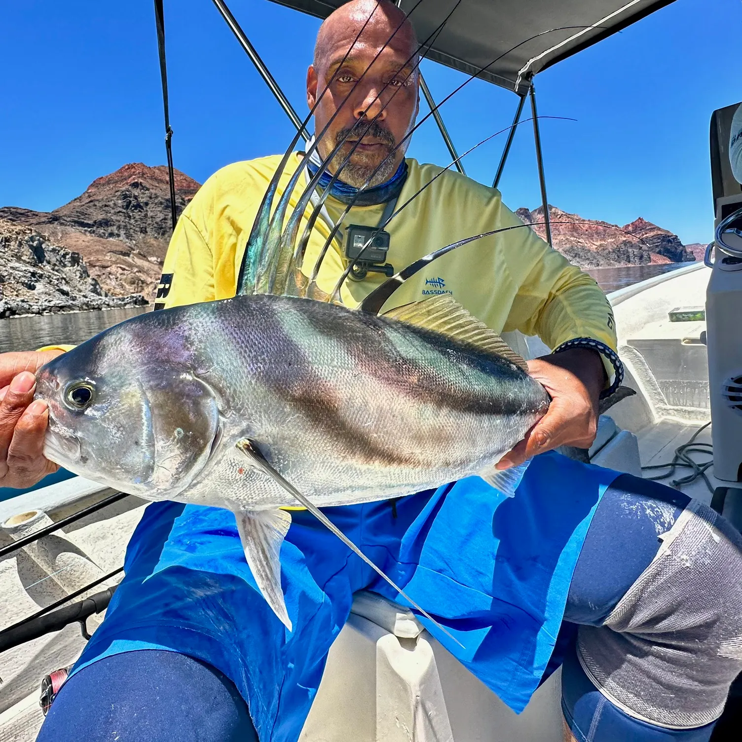 The most recent Roosterfish catches on Fishbrain