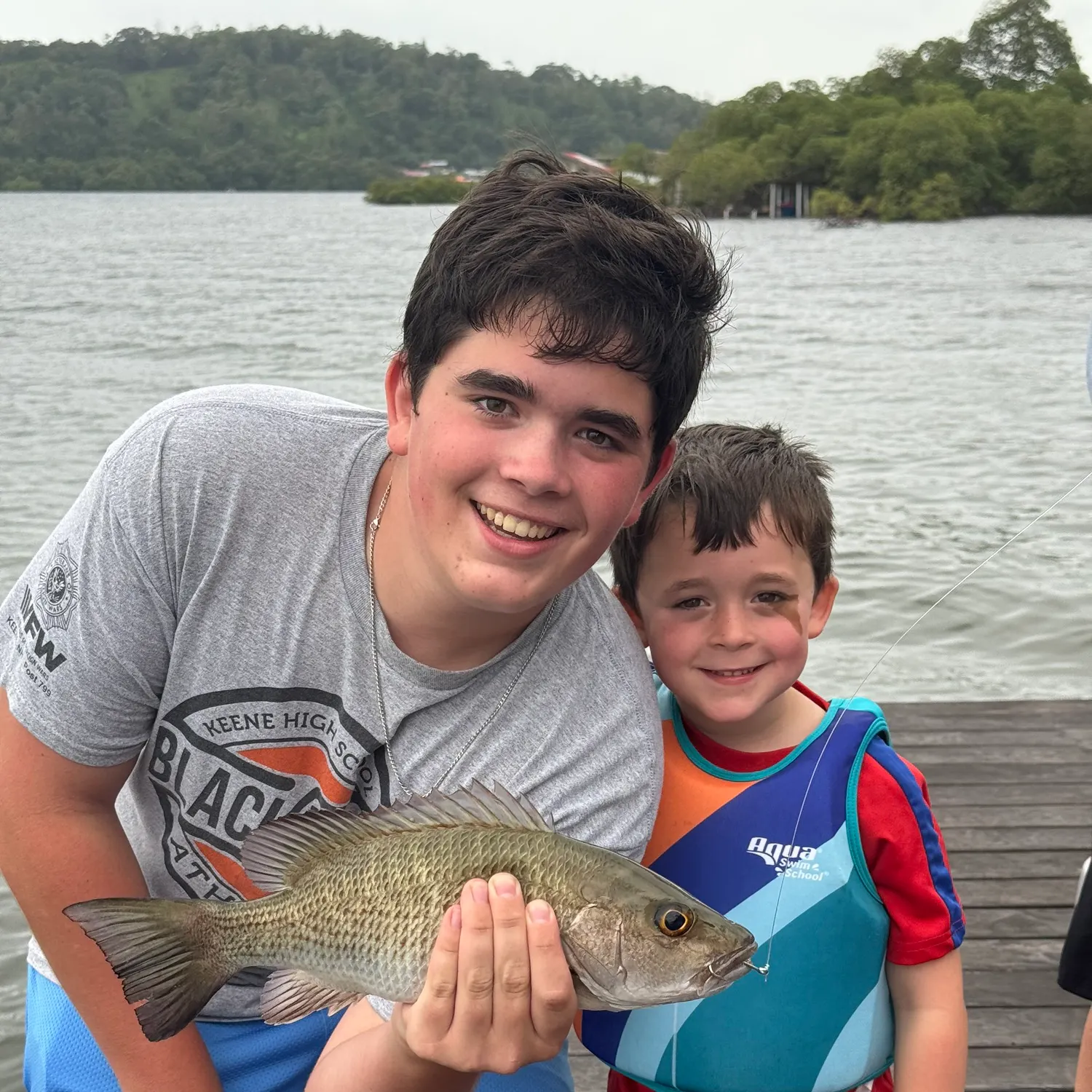 Mangrove snapper caught on Fishbrain