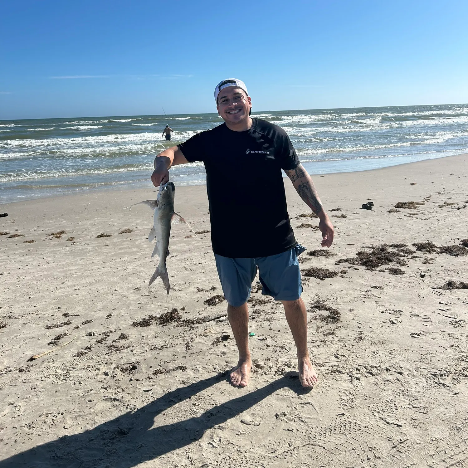 The most recent Gafftopsail sea catfish catches on Fishbrain