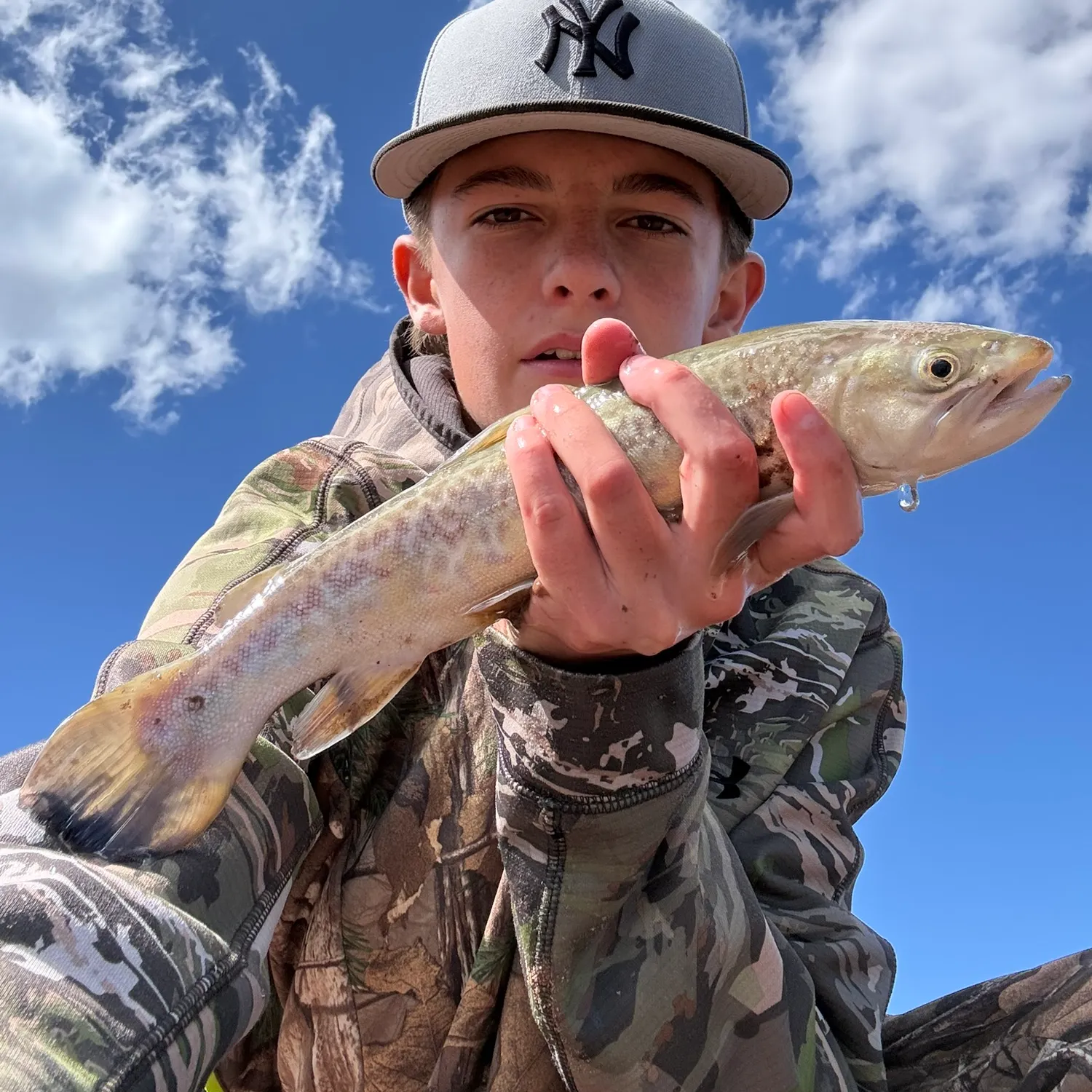 Tiger trout caught on Fishbrain