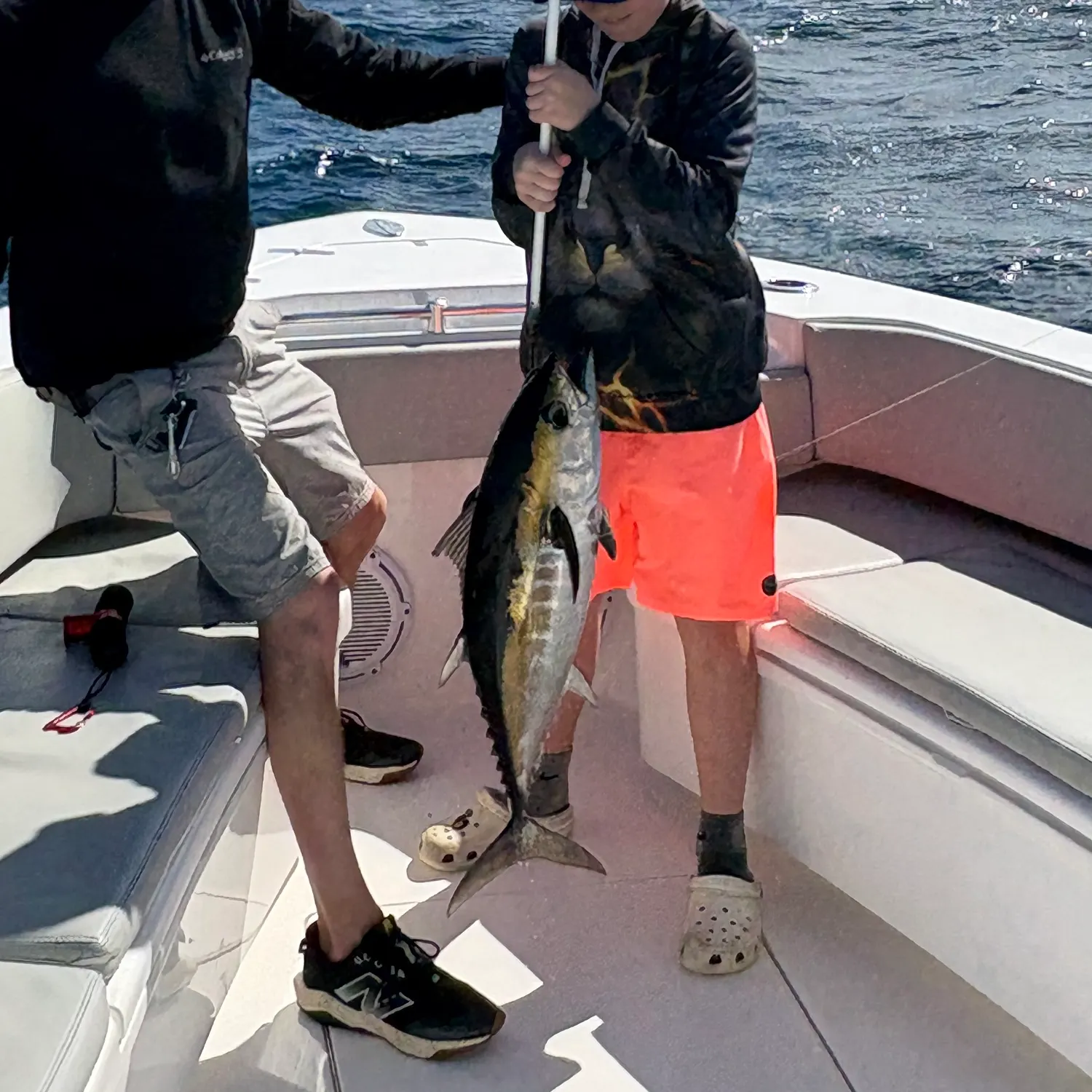 The most recent Blackfin tuna catches on Fishbrain