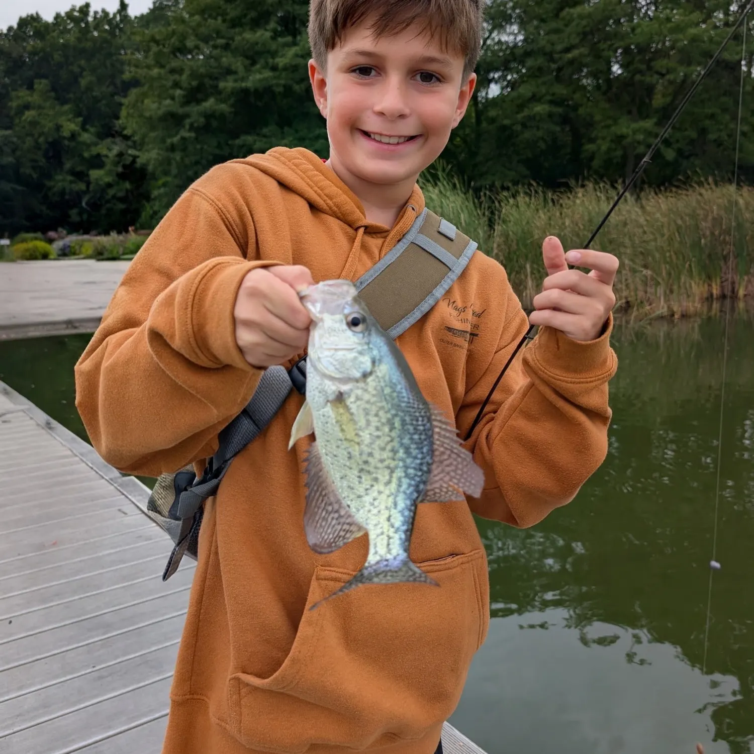 Black crappie caught on Fishbrain