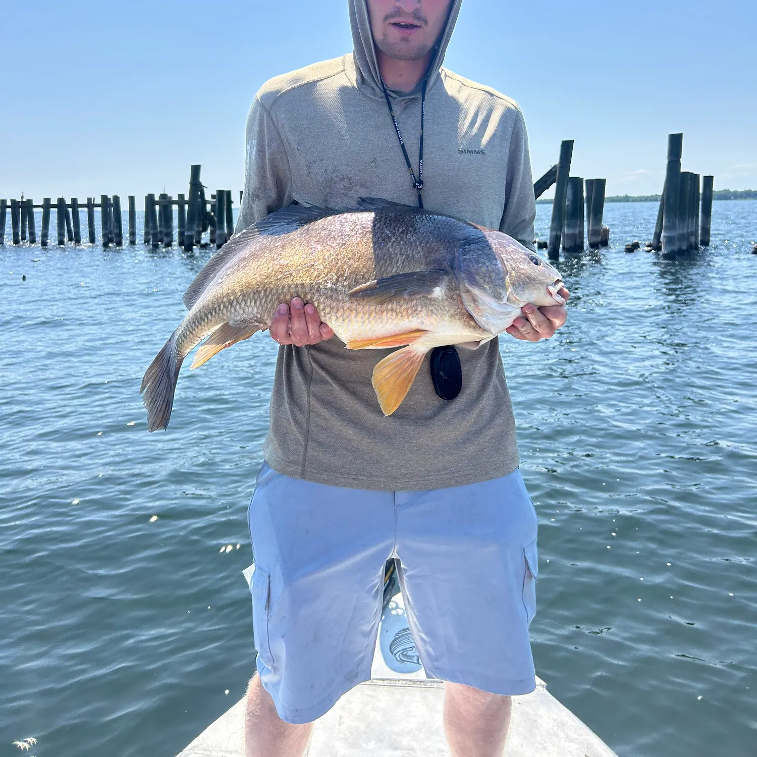 The most recent Freshwater drum catches on Fishbrain