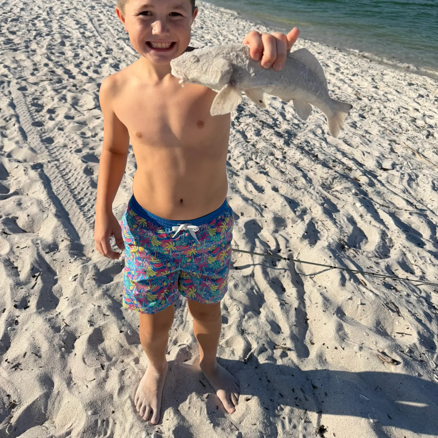 The most recent Gulf kingcroaker catches on Fishbrain