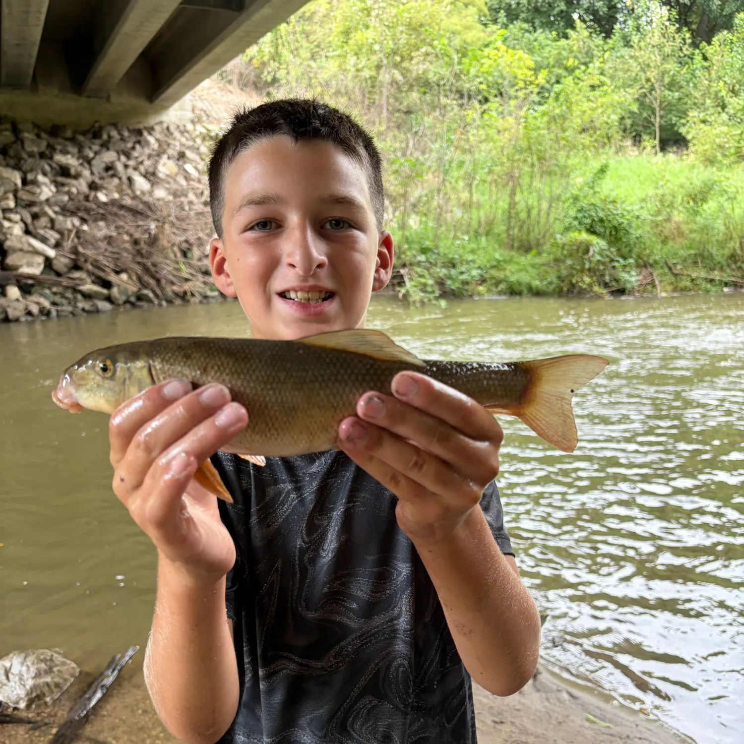 White sucker caught on Fishbrain