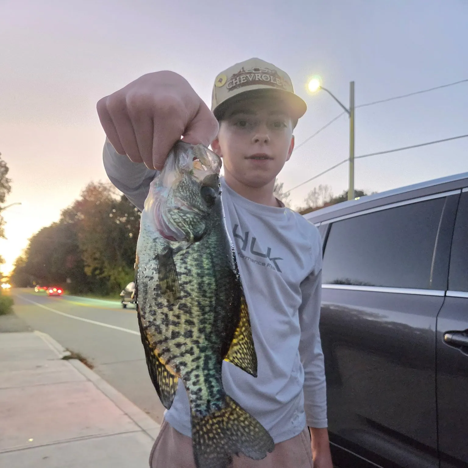 Black crappie caught on Fishbrain