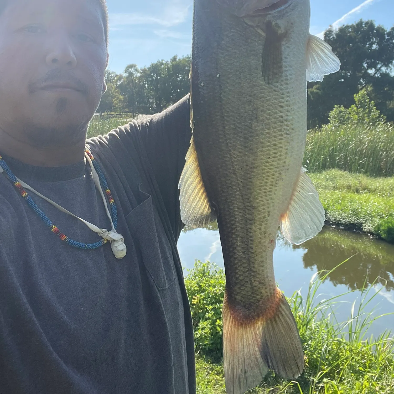 Largemouth bass caught on Fishbrain