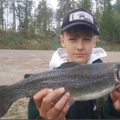 Rainbow trout caught on Fishbrain