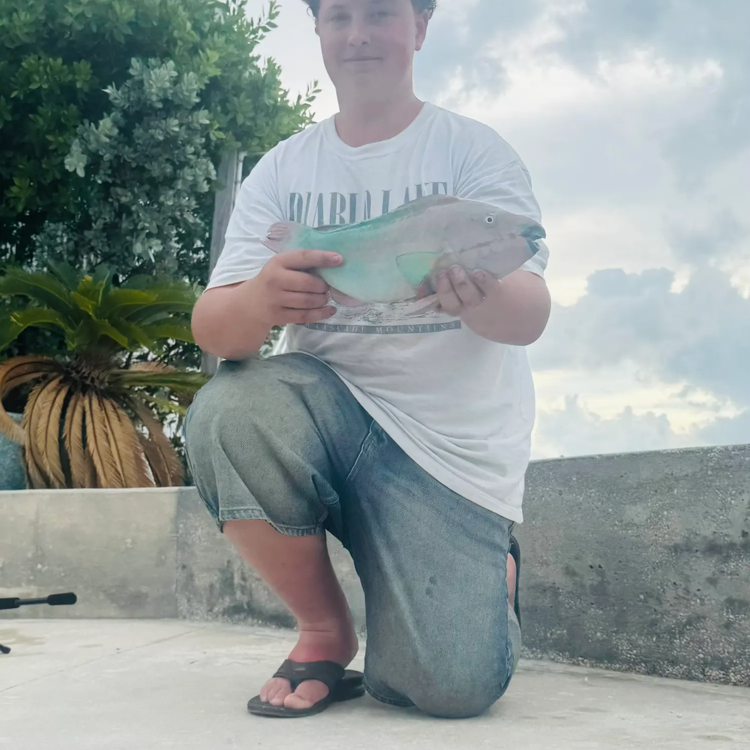 The most recent Rainbow parrotfish catches on Fishbrain