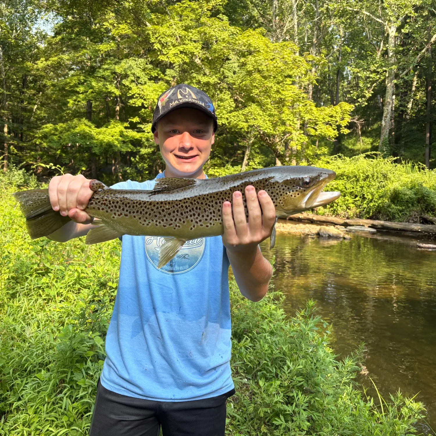 The most recent Brown trout catches on Fishbrain