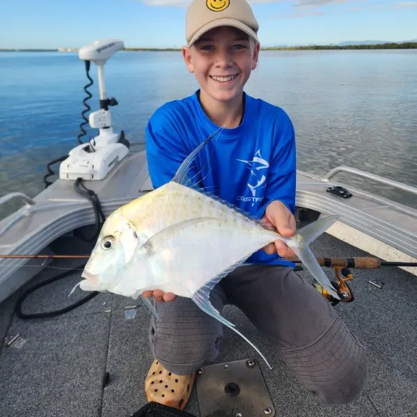 The most recent Indian threadfish catches on Fishbrain