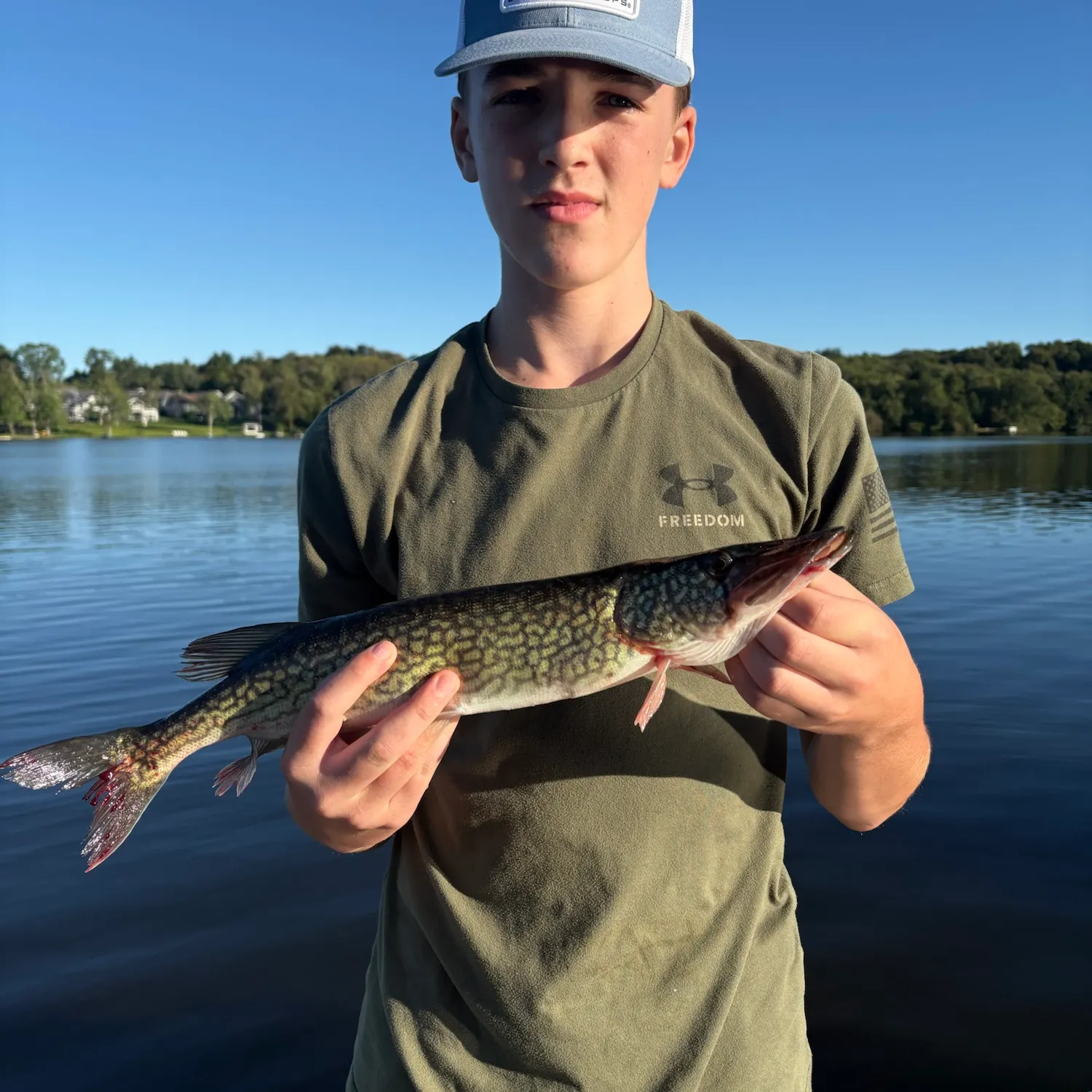Chain pickerel caught on Fishbrain