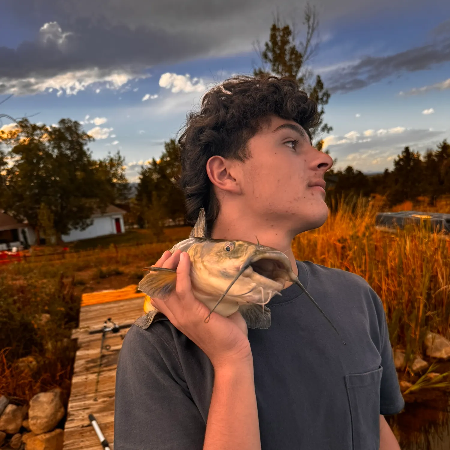 Channel catfish caught on Fishbrain