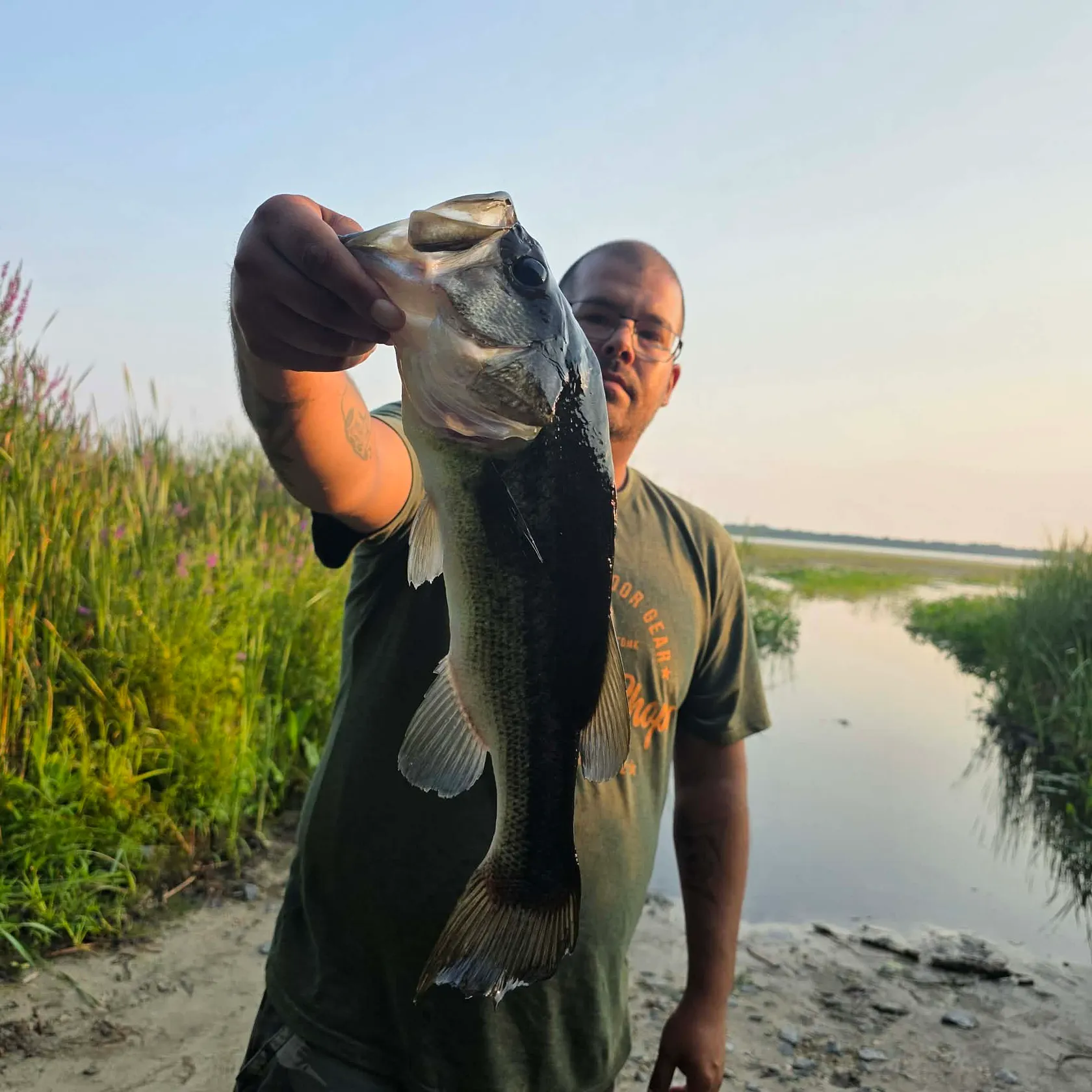 Largemouth bass caught on Fishbrain