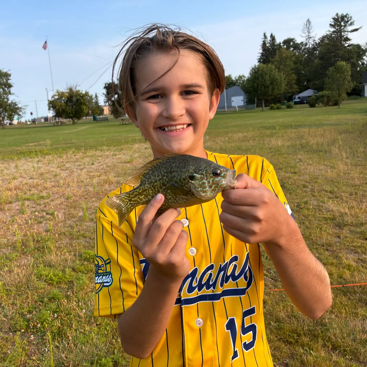 Pumpkinseed caught on Fishbrain