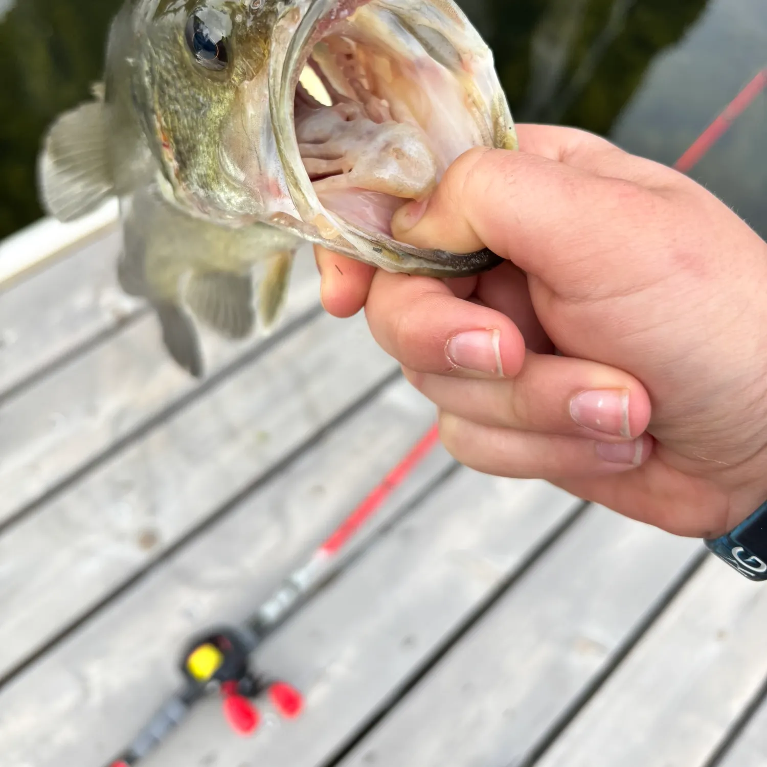 catch