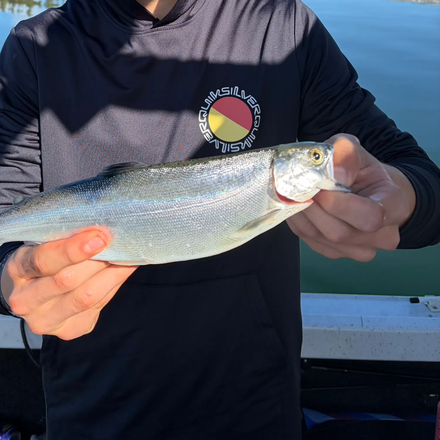 The most recent Kokanee salmon catches on Fishbrain