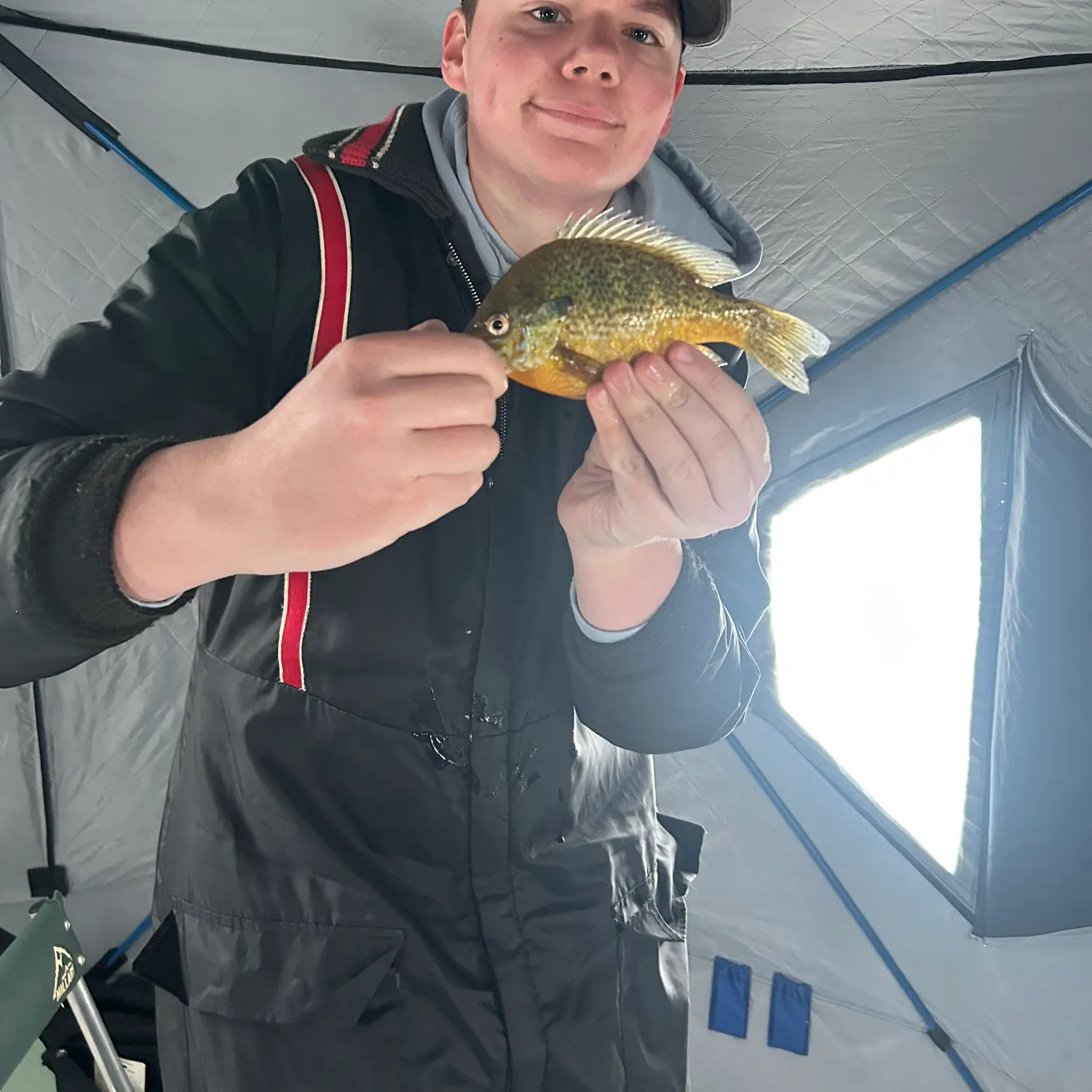The most recent Redear sunfish catches on Fishbrain