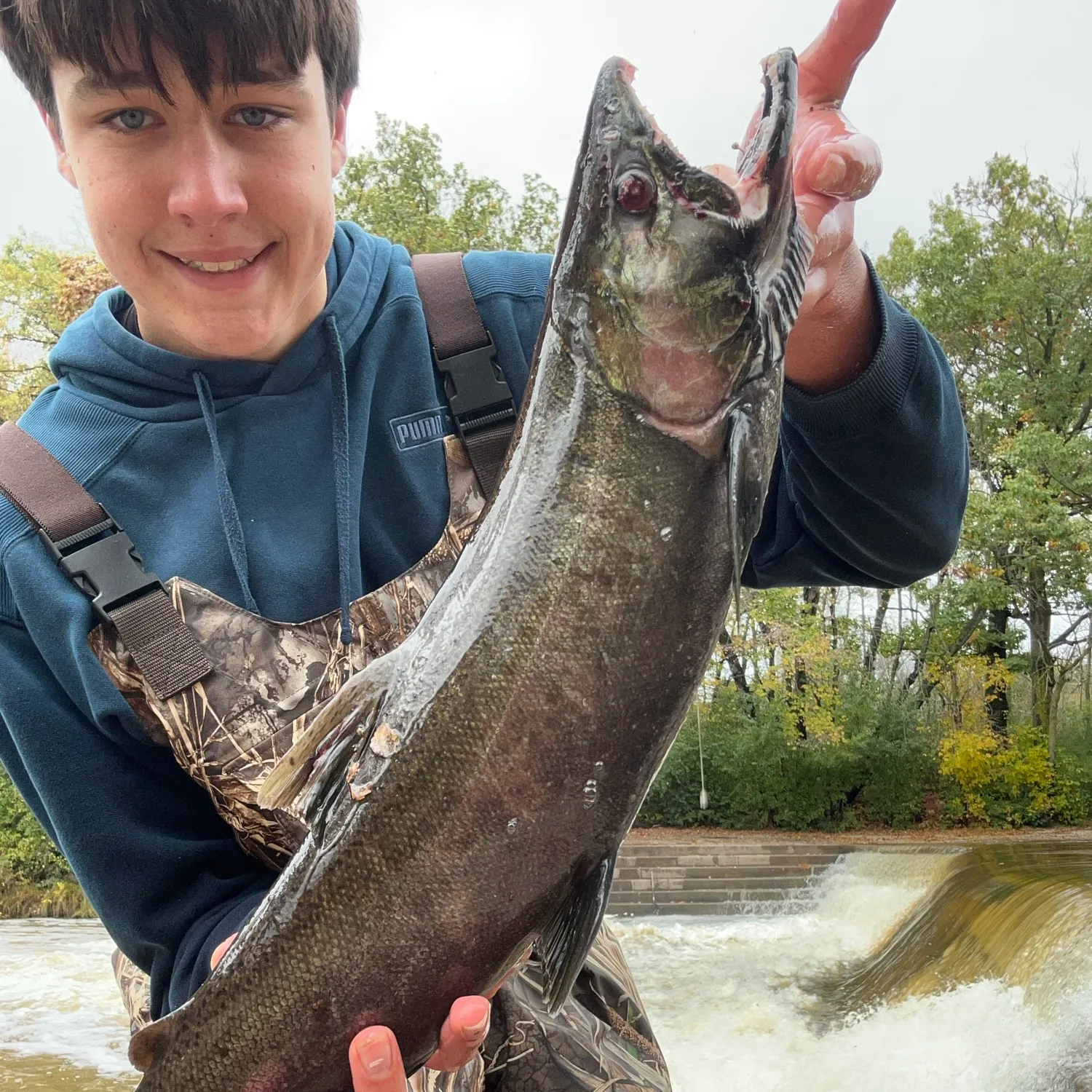 Coho salmon caught on Fishbrain