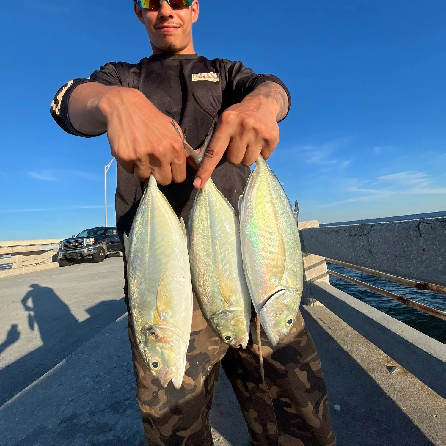 Blue runner caught on Fishbrain