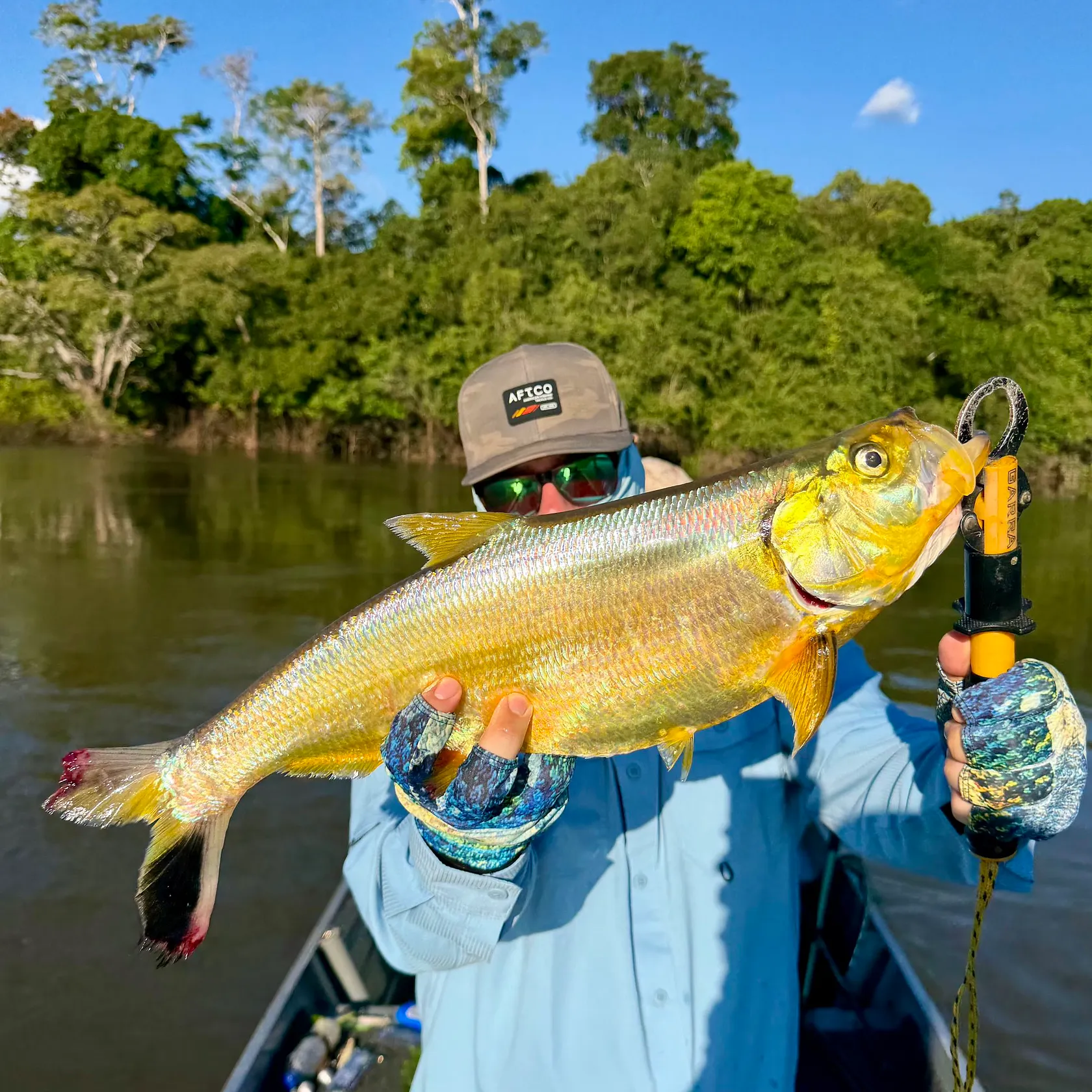 The most recent Amazon pellona catches on Fishbrain