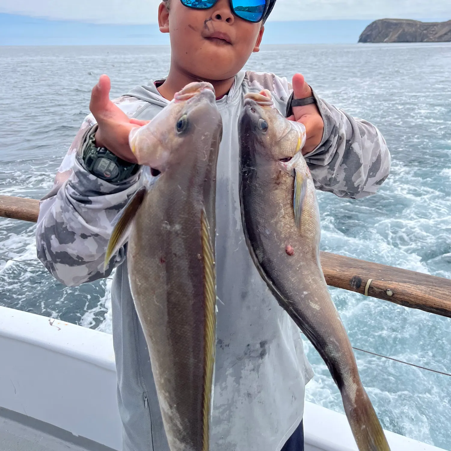 The most recent Ocean whitefish catches on Fishbrain