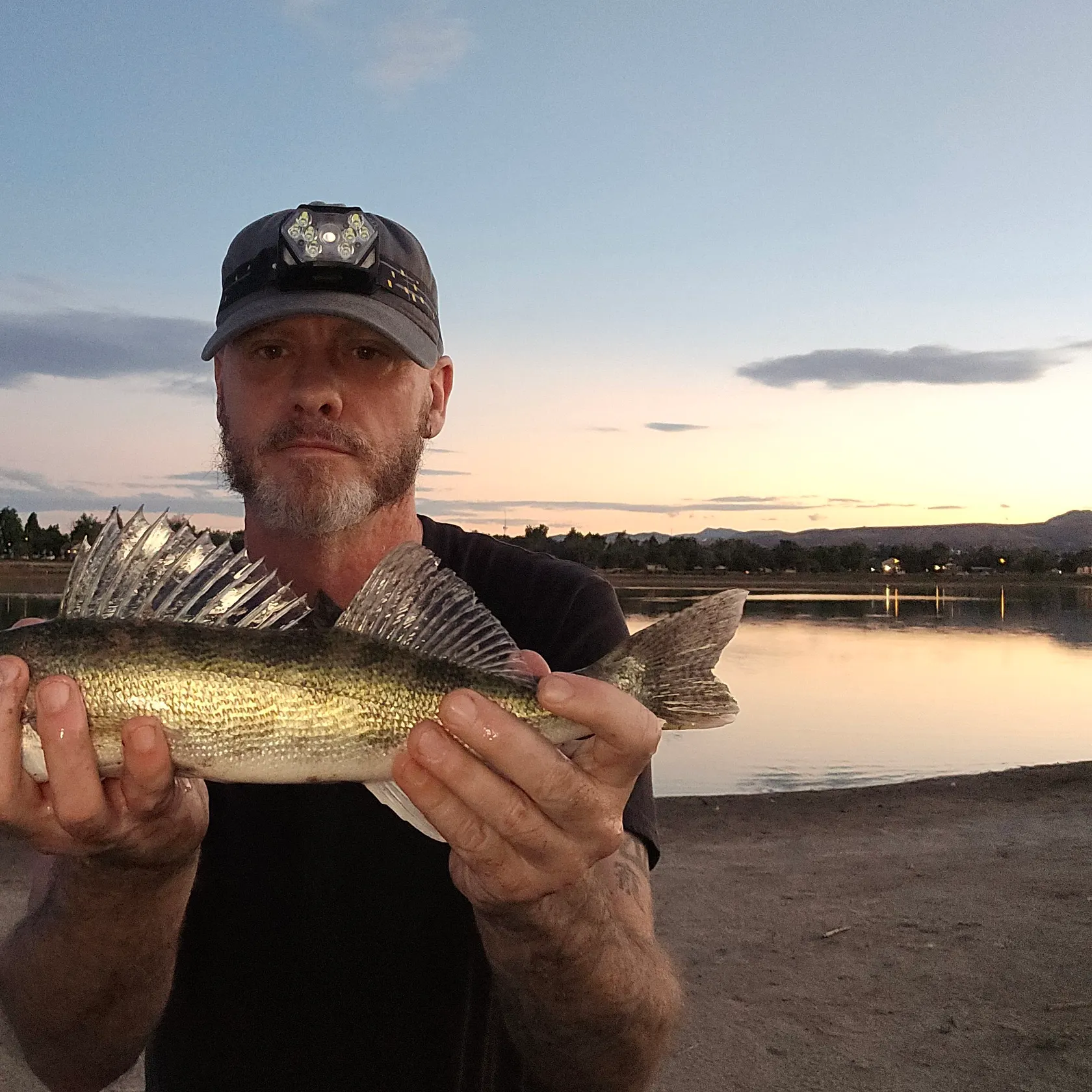 Walleye caught on Fishbrain